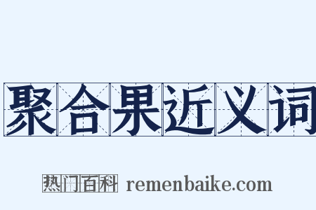 聚合果近义词是什么意思的图片